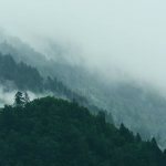 Является ли Эльмир Кулиев саляфитом?