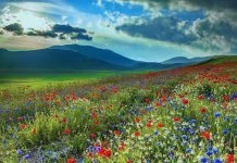 Хадис Пророка о любви к Аллаху и Его посланнику ﷺ Любовь