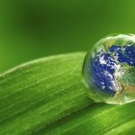 Комментарий Навави к хадису «Мирская жизнь — тюрьма верующего и рай неверующего»