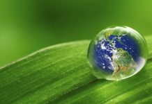 Комментарий Навави к хадису «Мирская жизнь — тюрьма верующего и рай неверующего»