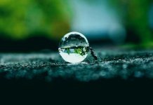 Шейх Усаймин: Дозволяется ли прерывать пост из-за тяжелой работы? Муравей совершает тяжелую работу