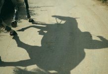 “Не будь как каретная лошадь!” - хизбия, ее описание