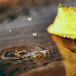 Правило: Желание Лика Аллаха – главный мотивирующий фактор в джархе и тадиле