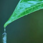 Не переставай усердствовать в совершении благих дел