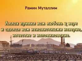 Аллах привил вам любовь к вере и сделал вам ненавистными неверие, нечестие и неповиновение