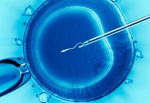 Дозволено ли искусственное оплодотворение (ЭКО и ВМИ)